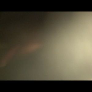 Meet your Posher, Pansy